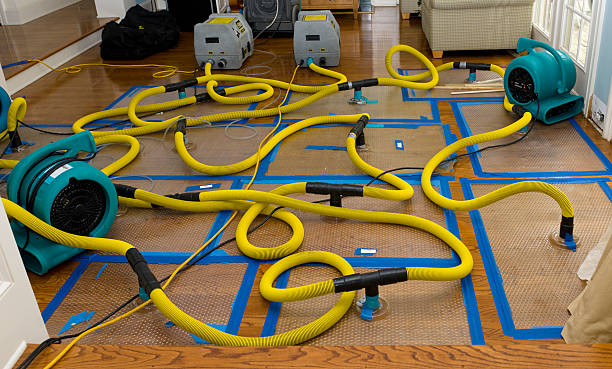 Professional Water Damage Repair technician working in Kellnersville, WI