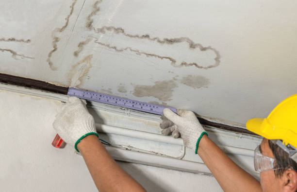 Affordable Water Damage Repair solutions in Kellnersville, WI